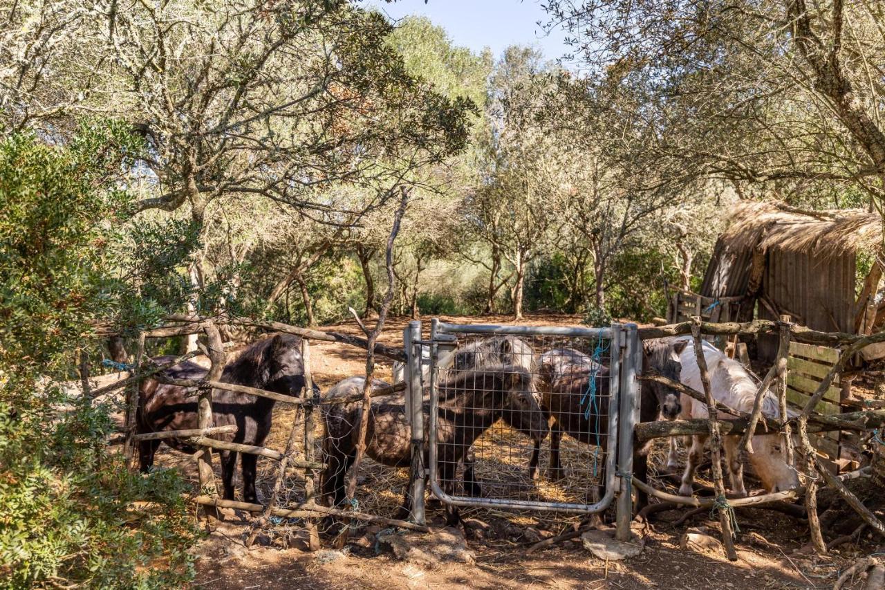 Finca Es Fangar Villa Sineu  Exterior foto